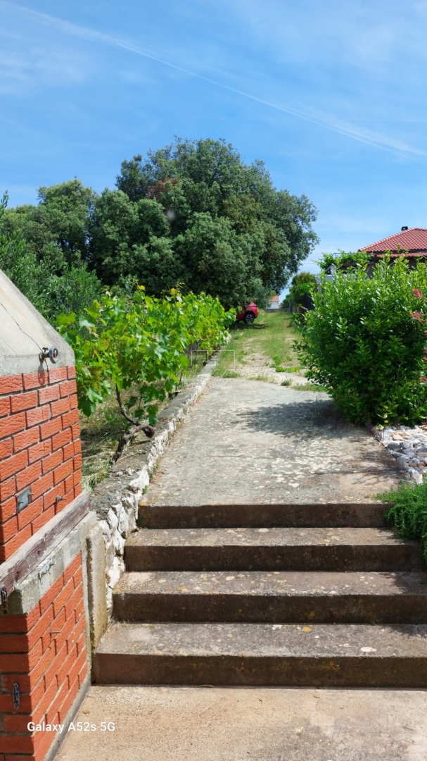 1755368746_whatsapp-image-2025-06-02-at-08